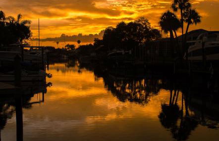 Sunset Cove Apollo Beach - Foto 73