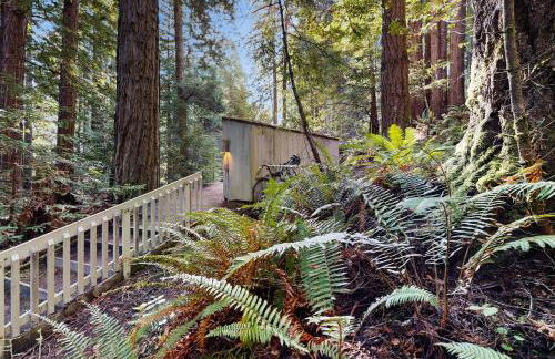 Deep Woods Hideaway - Foto 24