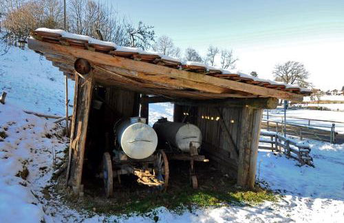 Ammervital - Apartments - Foto 32