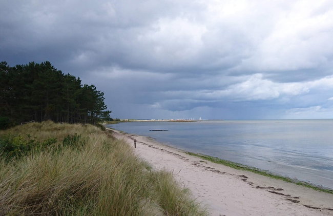 8 Person Holiday Home in Hadsund-by Traum - Foto 40