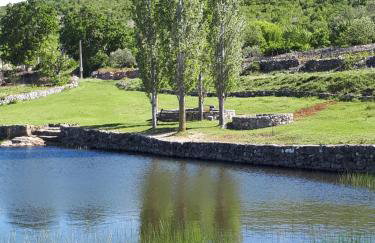 The Olive Garden - Foto 35