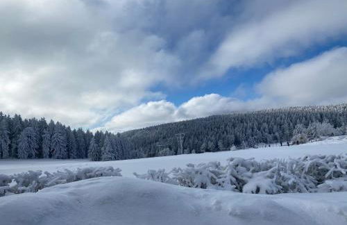 Ferienwohnung Werraquell Hütte - Foto 11