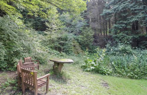 Kite's Nest - Foto 21