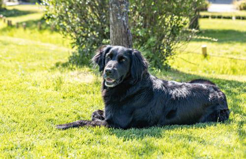 Ferienwohnung im Elsetal - Foto 27