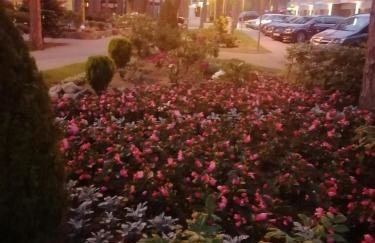 Apartment LILY - Baltic Park Pogorzelica - Foto 59