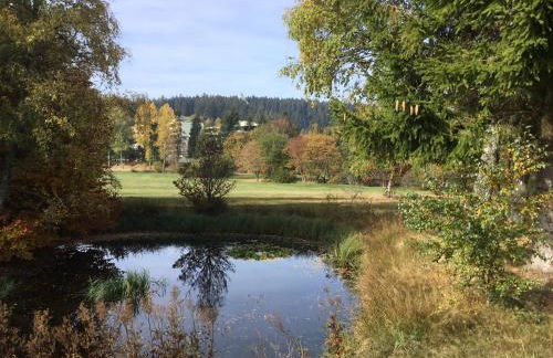 Gemütliche 1Z FeWo in Schönwald mit Balkon, Schwimmbad, Sauna, Fitness - Foto 10