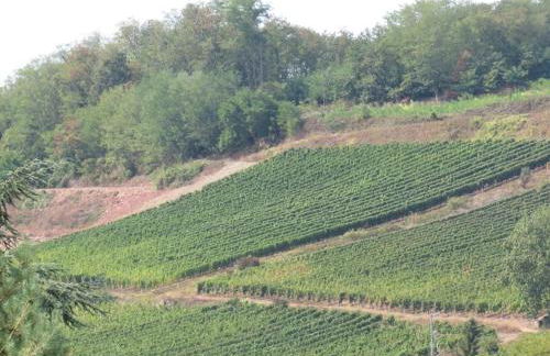 Gîte Chez Mamema - Foto 38