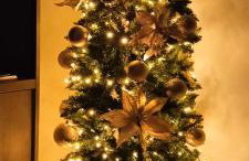 Seaside Oasis - Foto 7