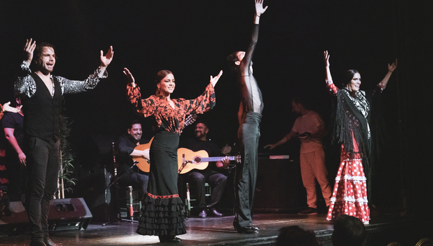 Teatro Flamenco Barcelona City Hall - Foto 5