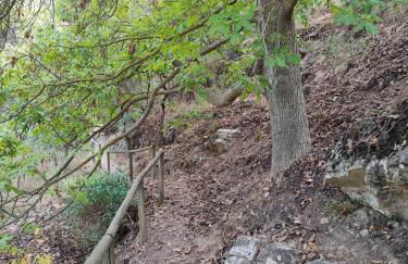 El Cantón - Alojamiento Rural - Foto 60