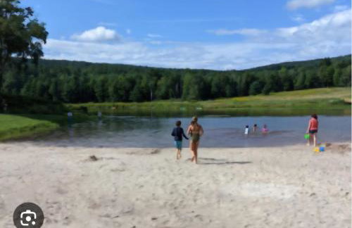 Lux estate! Hot tub, 8 acres, firepit, game room, private pond, EV, lots of privacy, 10 mins to town - Foto 45