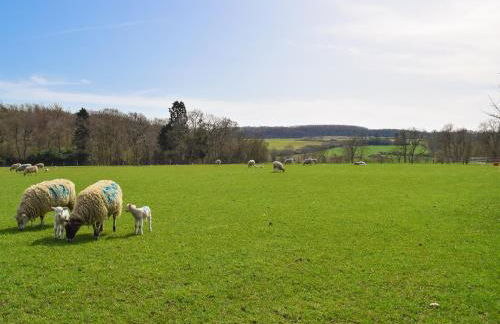 The Warren - Foto 24