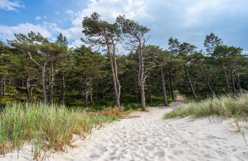 Domki Szumifala - Foto 20