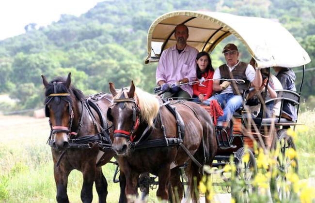 Agriturismo La pulledraia - Foto 23