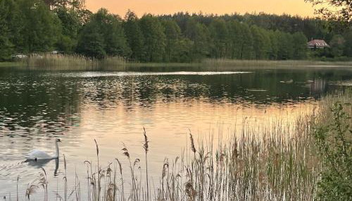 Ferienhaus JULKA am See mit Kamin & WLAN - Domek Letniskowy JULKA - Foto 4