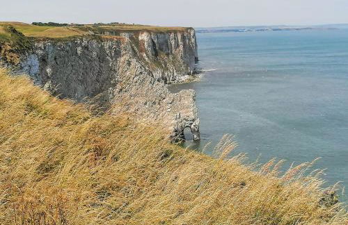 Beam Cottage - Foto 28