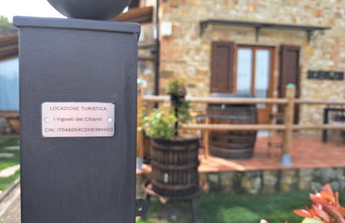 I Vigneti del Chianti - Foto 43