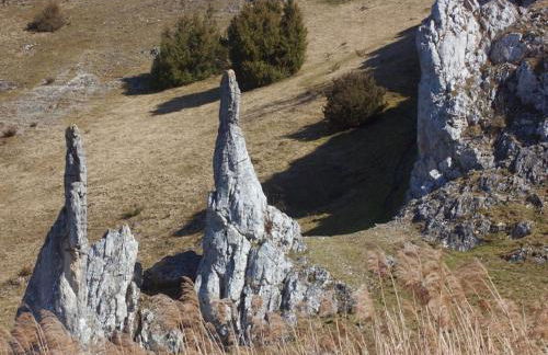 in Haus Kallenberg - Foto 34