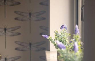 Alde Bay Farm - Oyster Catcher - Foto 15