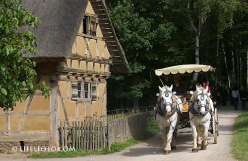 Ferienwohnung Gross A - Foto 34