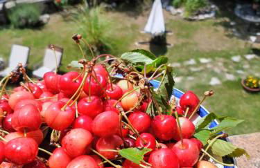 casa vacanze campagna in compagnia - Photo 32