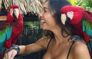 Residência Andrade - Foto 22