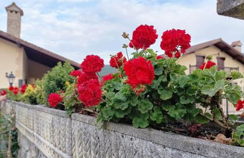 La casika del Cerro - Foto 33