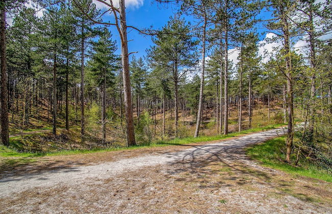 House in Schoorl Near Dunes and Beach - Photo 42