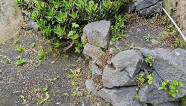 Etnamare Elite - Foto 4