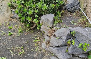 Etnamare Elite - Foto 4