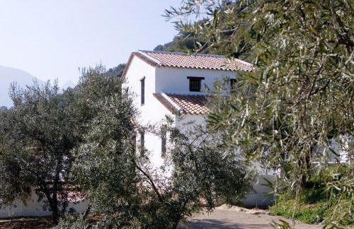 Finca la sutilas - Foto 10