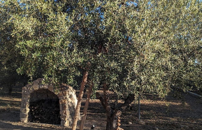 Casa Hostalets - In the Middle of the Olive Trees - Foto 27