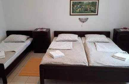 Apartments Roviš - Foto 25