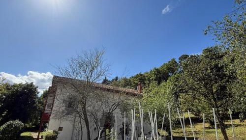 Caserío vasco de categoría - Foto 5