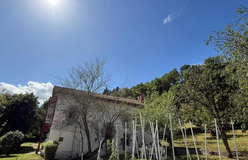 Caserío vasco de categoría - Foto 5