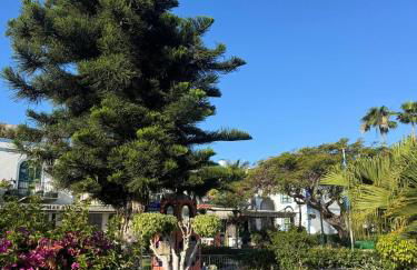 Yate Rock & Roll - Foto 36