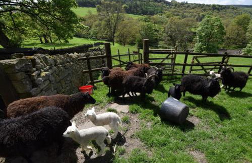 2 Bed in High Peak oc-pk551 - Photo 13