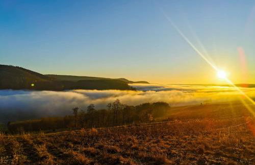 Ferienwohnung Zum Tannenwirt - Foto 17
