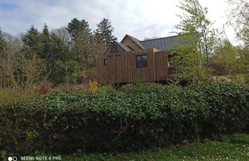 Kalon Vreizh - Foto 7