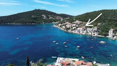 Apartments Miovic - Photo 2