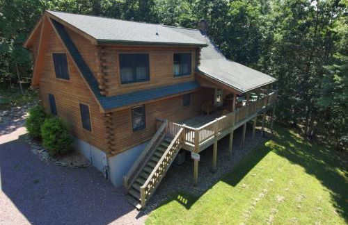 Mountain Maryland! Bear in the Woods - Foto 1