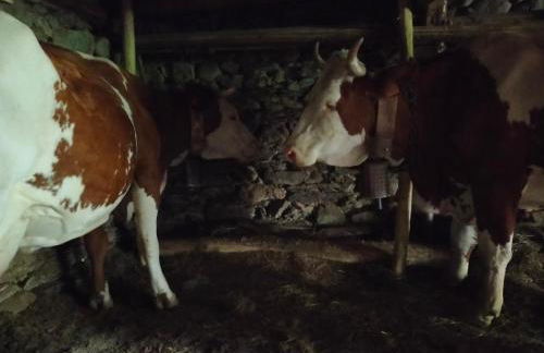 Le Nid Mansardé - Foto 37