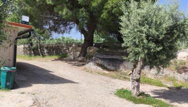 Tapada das Carvalhas - Foto 4