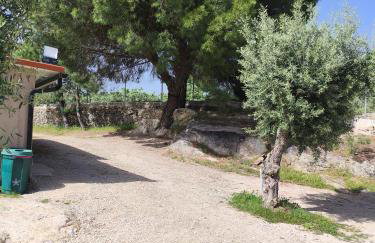 Tapada das Carvalhas - Foto 4