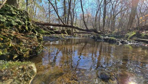 Cabin near Dogwood Canyon, Top of the Rock, Branson - Foto 5