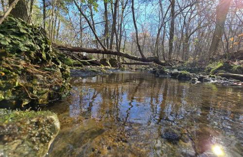 Cabin near Dogwood Canyon, Top of the Rock, Branson - Foto 5