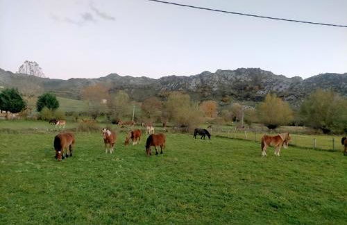 Turismo en Babia Bajo los nidos - Foto 30