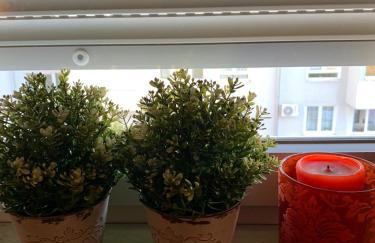 Šarmantni apartman Malecka 2 - Foto 9