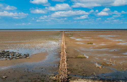 Ferienwohnung Sanfte Brise IV Dagebüll - Foto 14