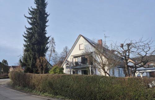 Seeschwalbe - Foto 19